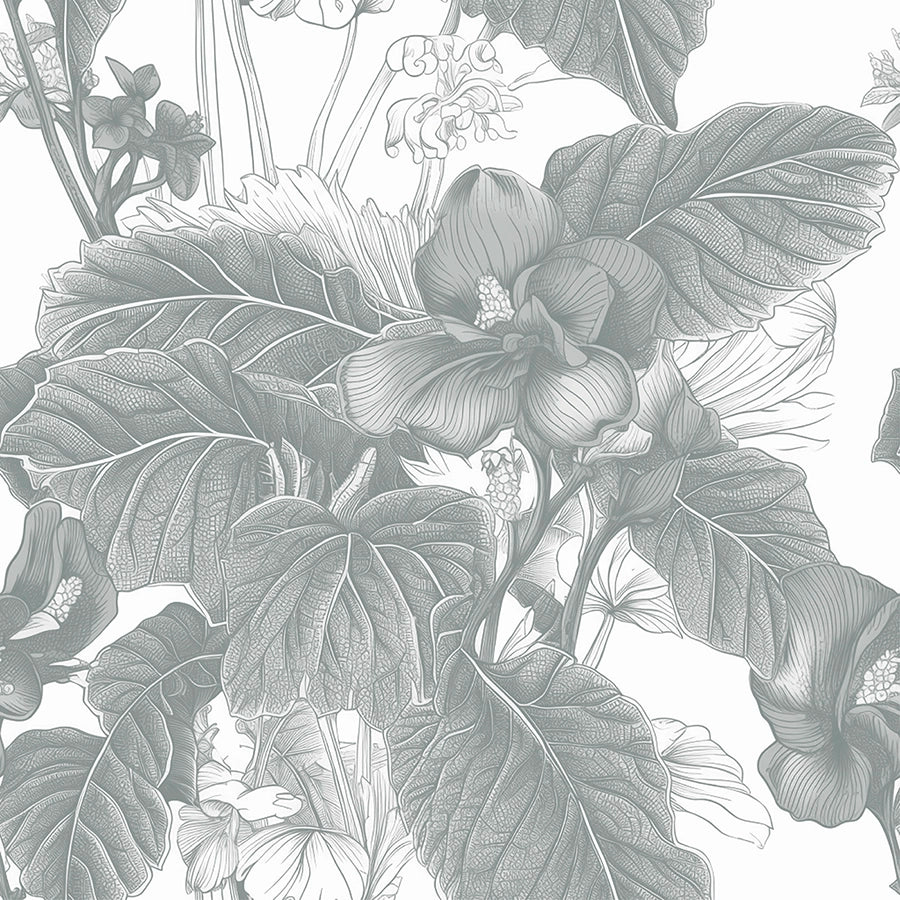 Malva