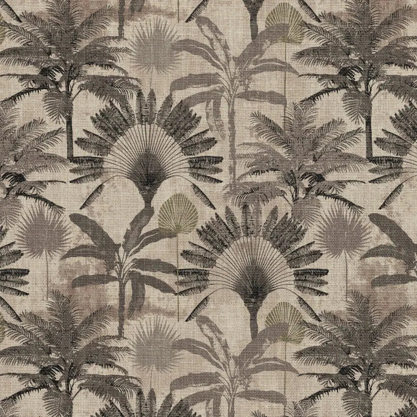 Palmera de lino