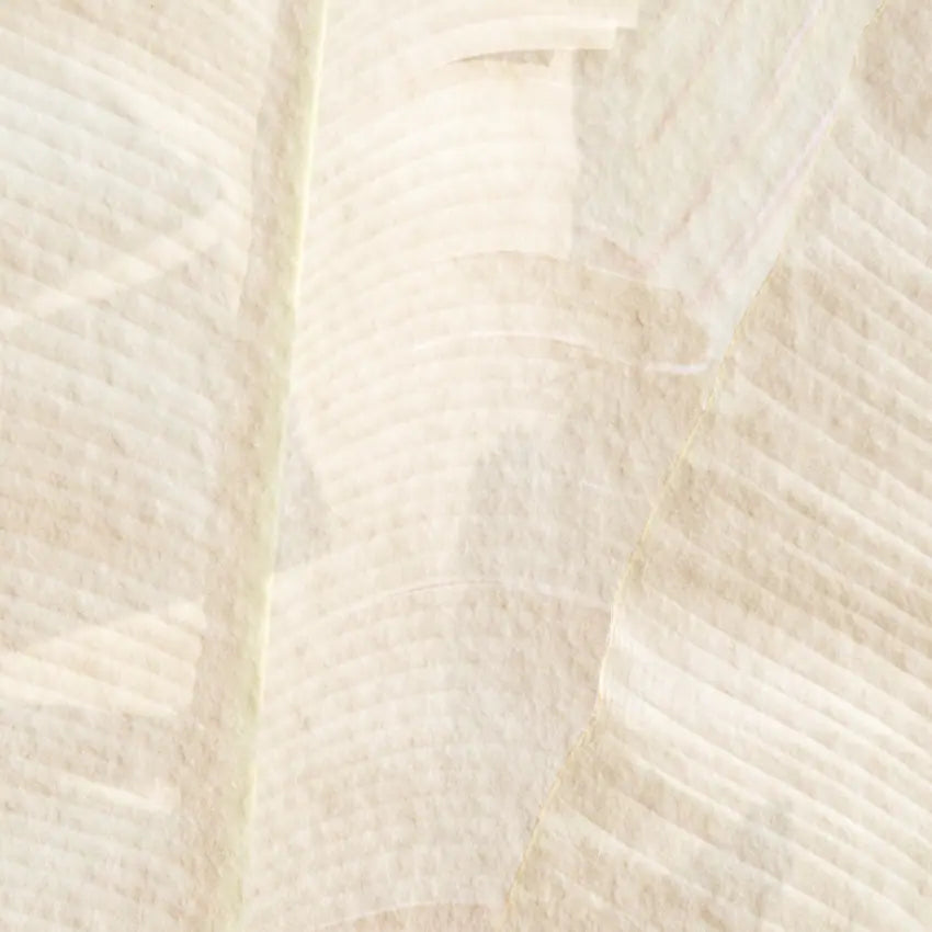 Hojas beige