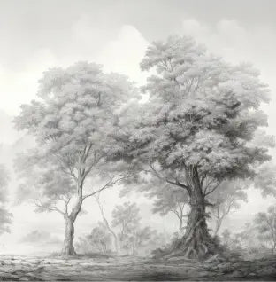 Bosque vintage 2