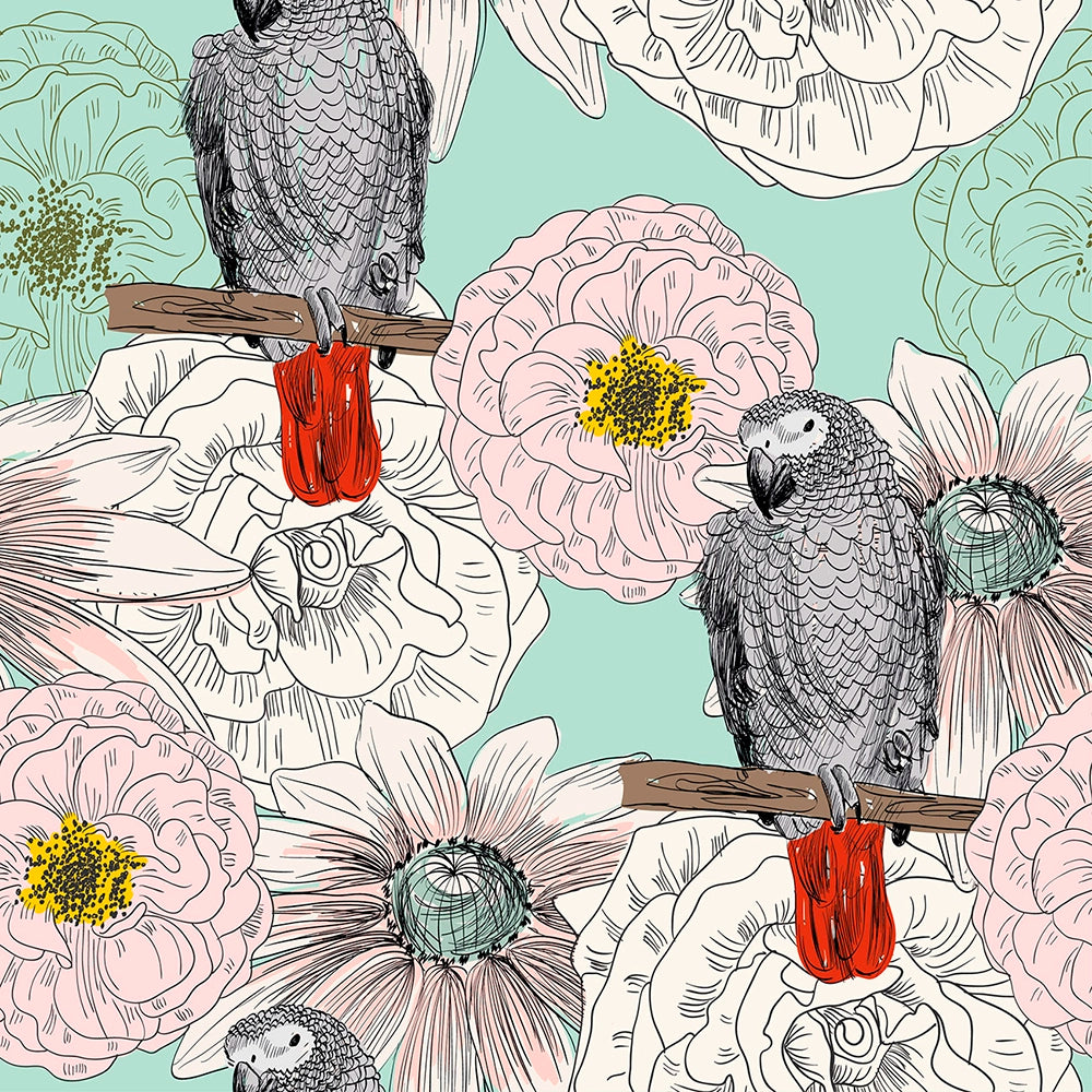 Loros gris africanos 1