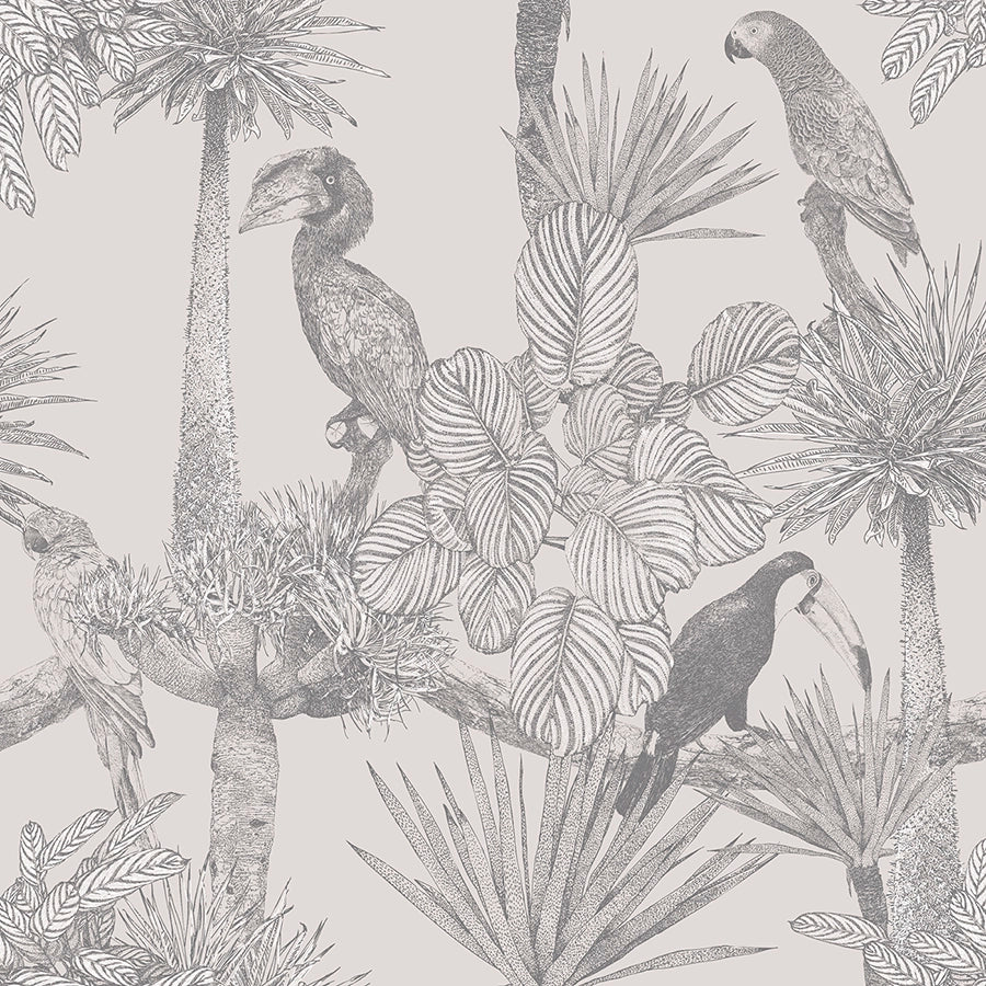 Aves tropicales gris