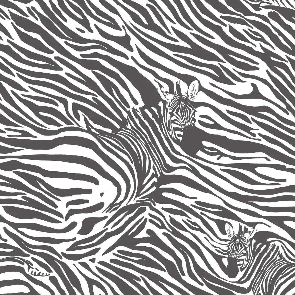 Juego de rayas en gris oscuro