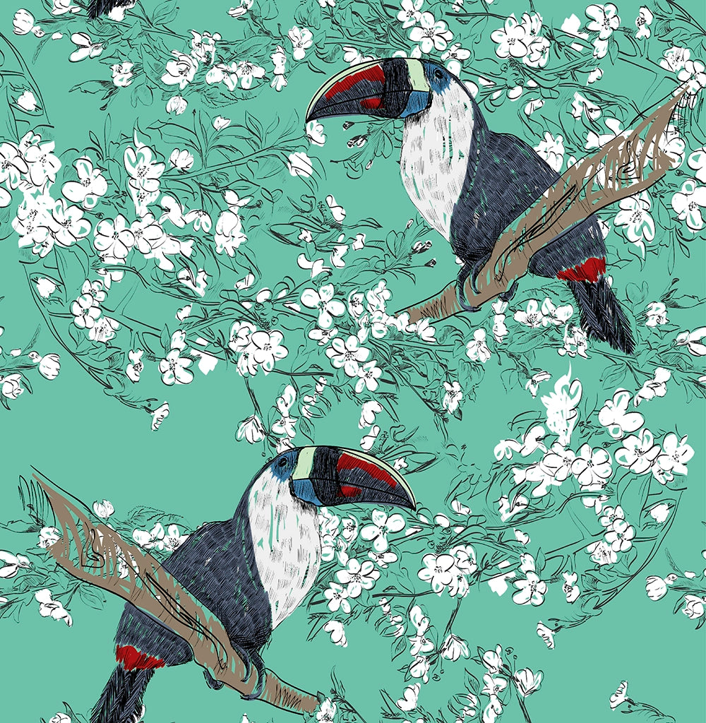 Tucán Gorgiblanco 1