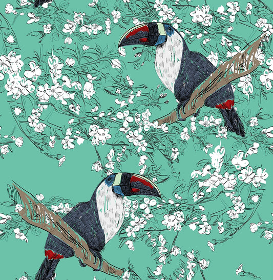 Tucán Gorgiblanco 1