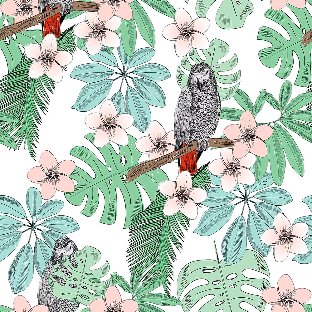 Loros gris africanos 2