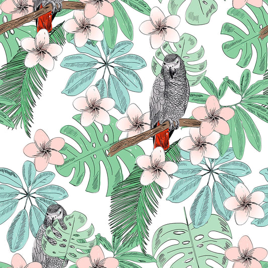 Loros gris africanos 2