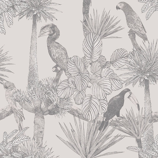 Aves tropicales gris