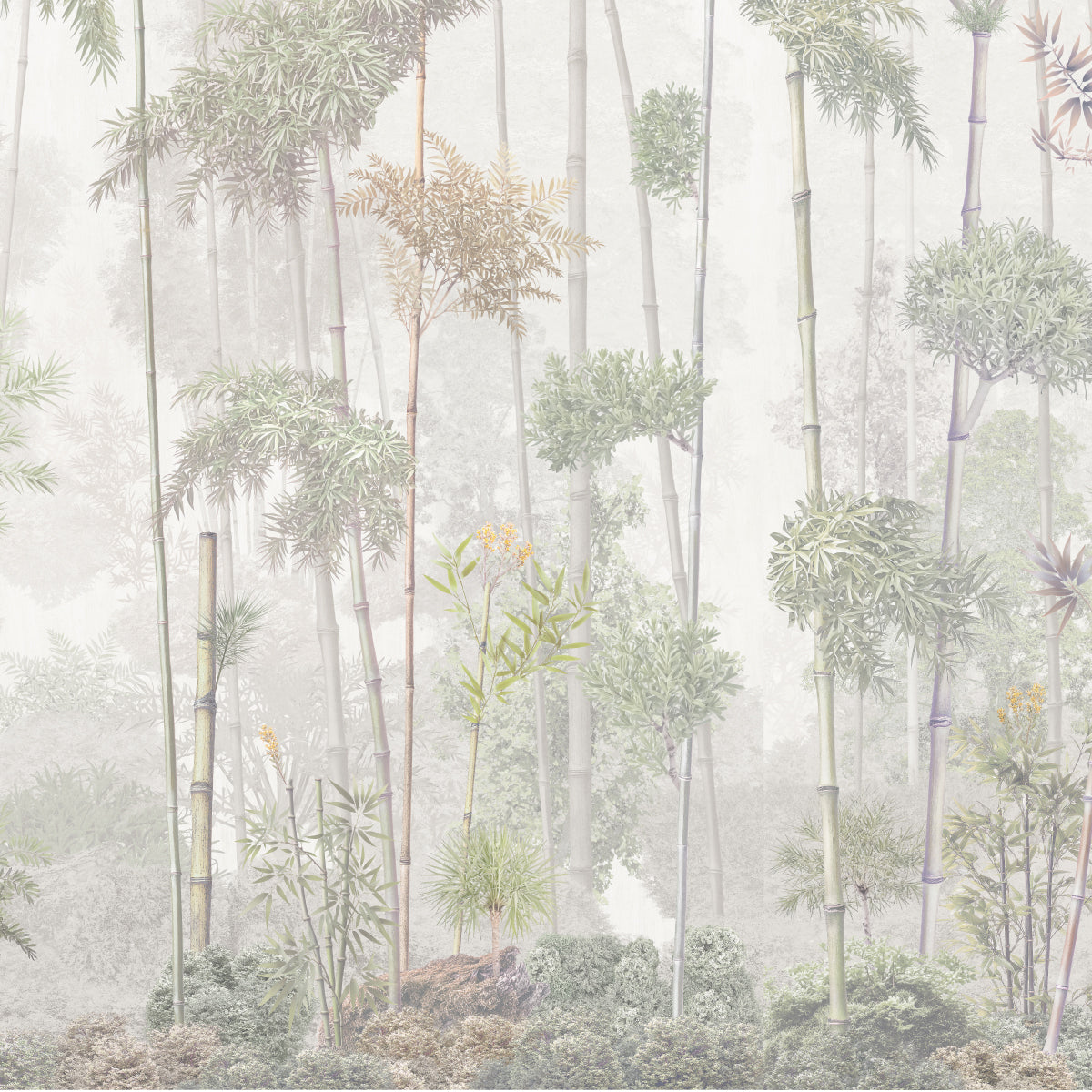 Bosque Bambú