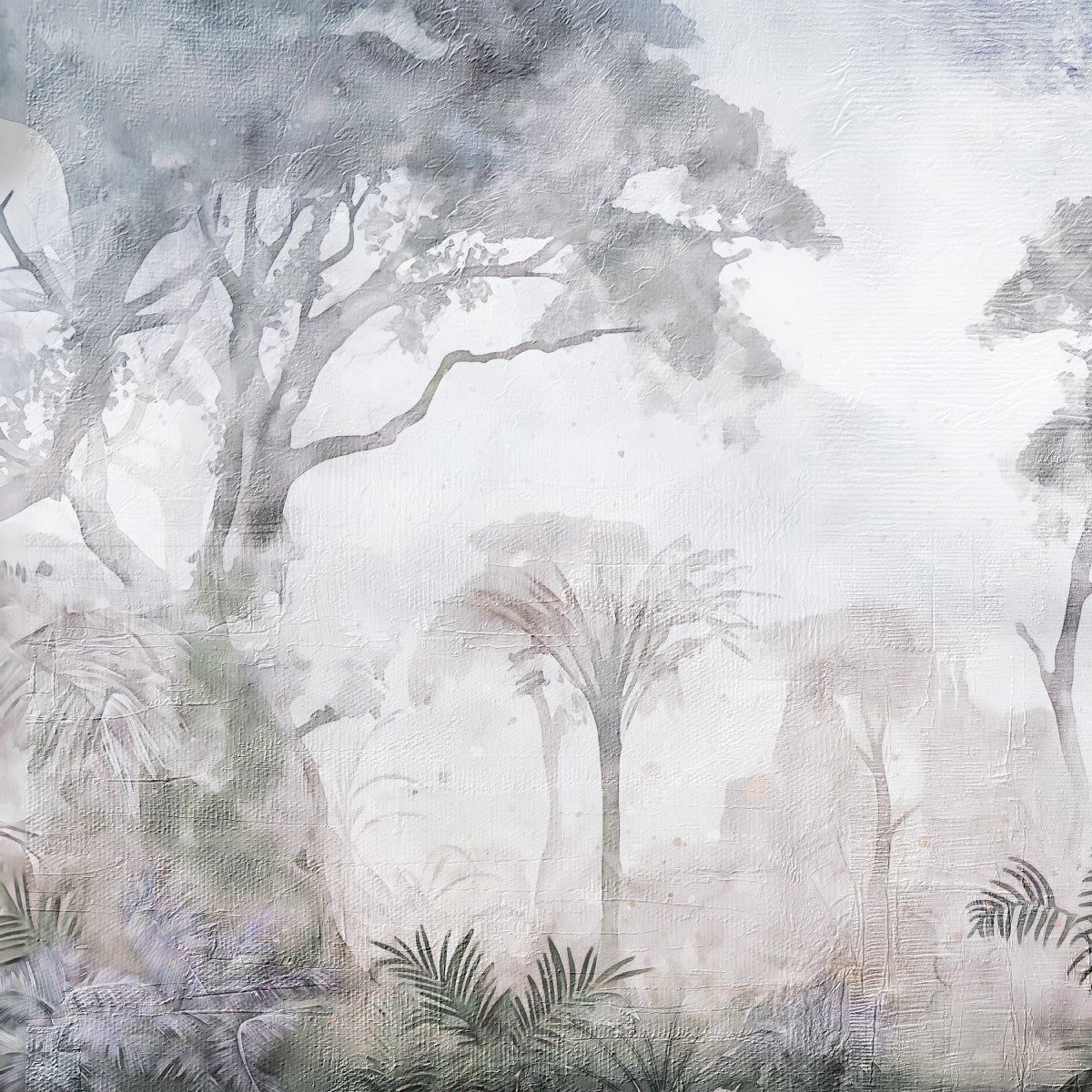 Bosque Nublado